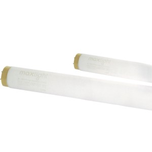 Lampe Maxlight 80/180w Ip Contrôle - Beauty Tech®