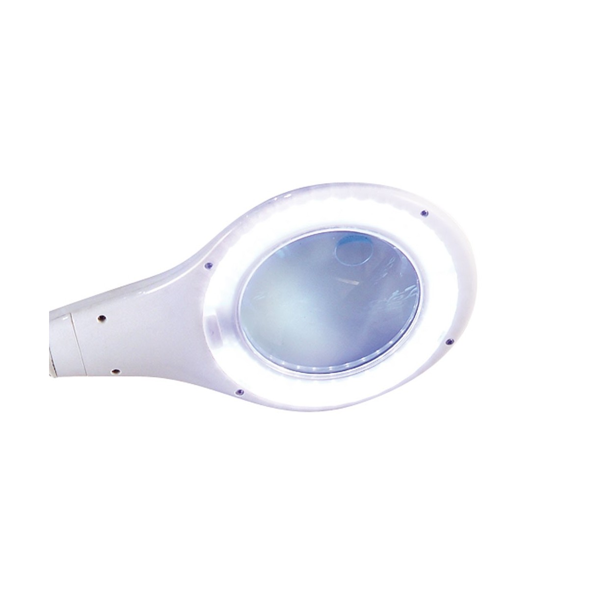 Tube fluo circulaire 22W