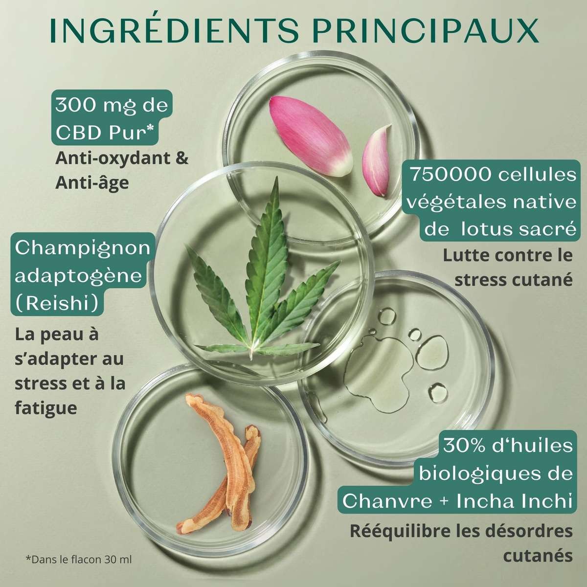 Sérum Cbd • Yon-Ka