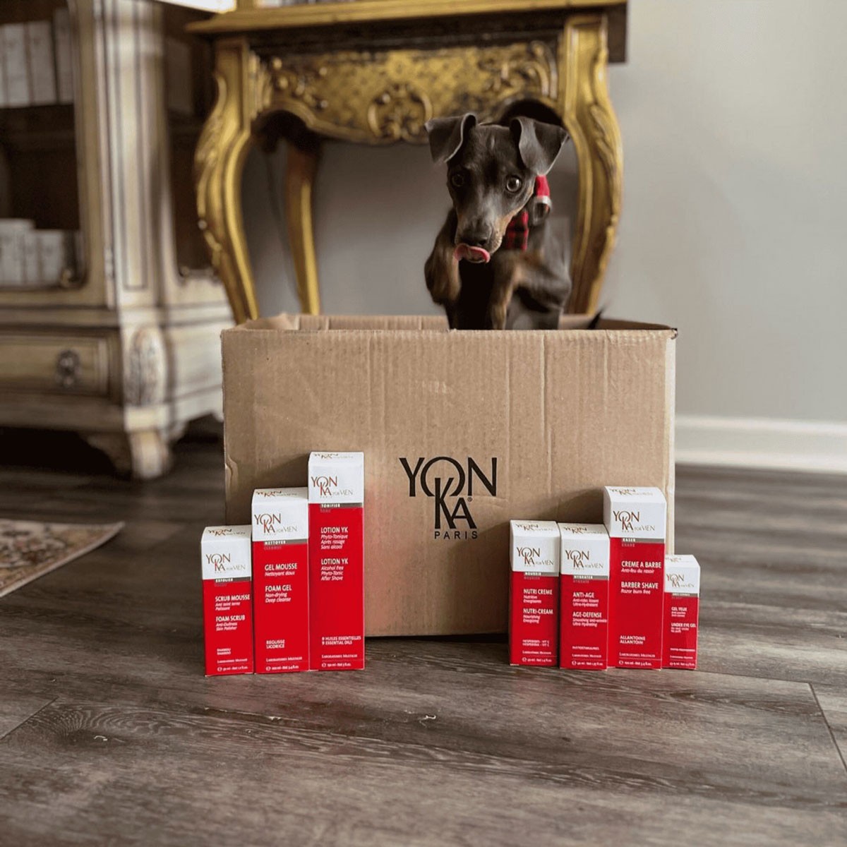 Scrub Mousse Homme • Yon-Ka