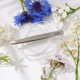 Pince à Épiler Classique - Inox