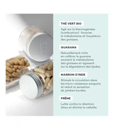 Programme Action-Capitons - D-Lab