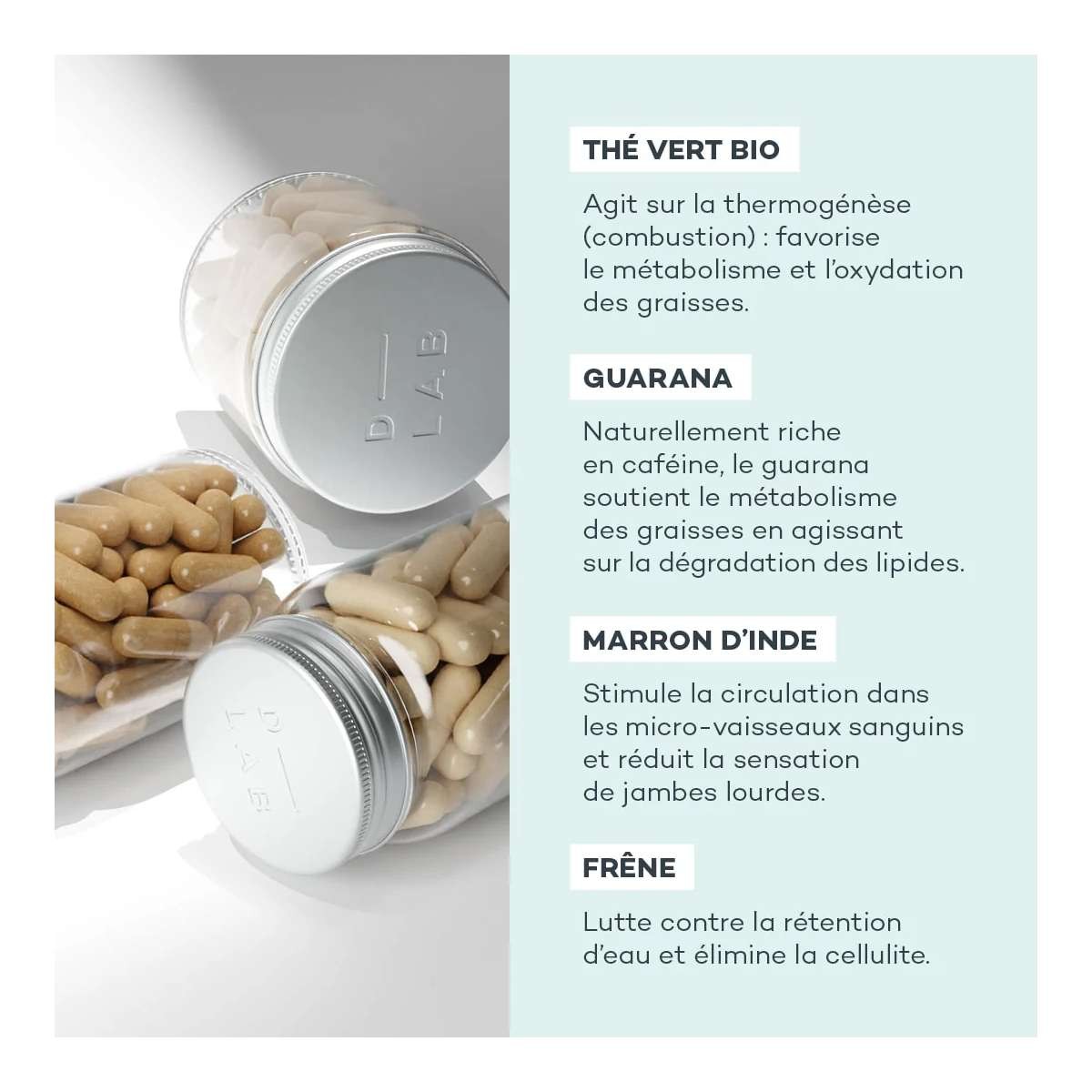 Programme Action-Capitons - D-Lab