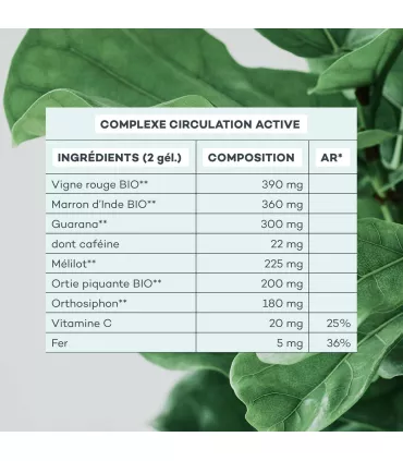 Programme Action-Capitons - D-Lab