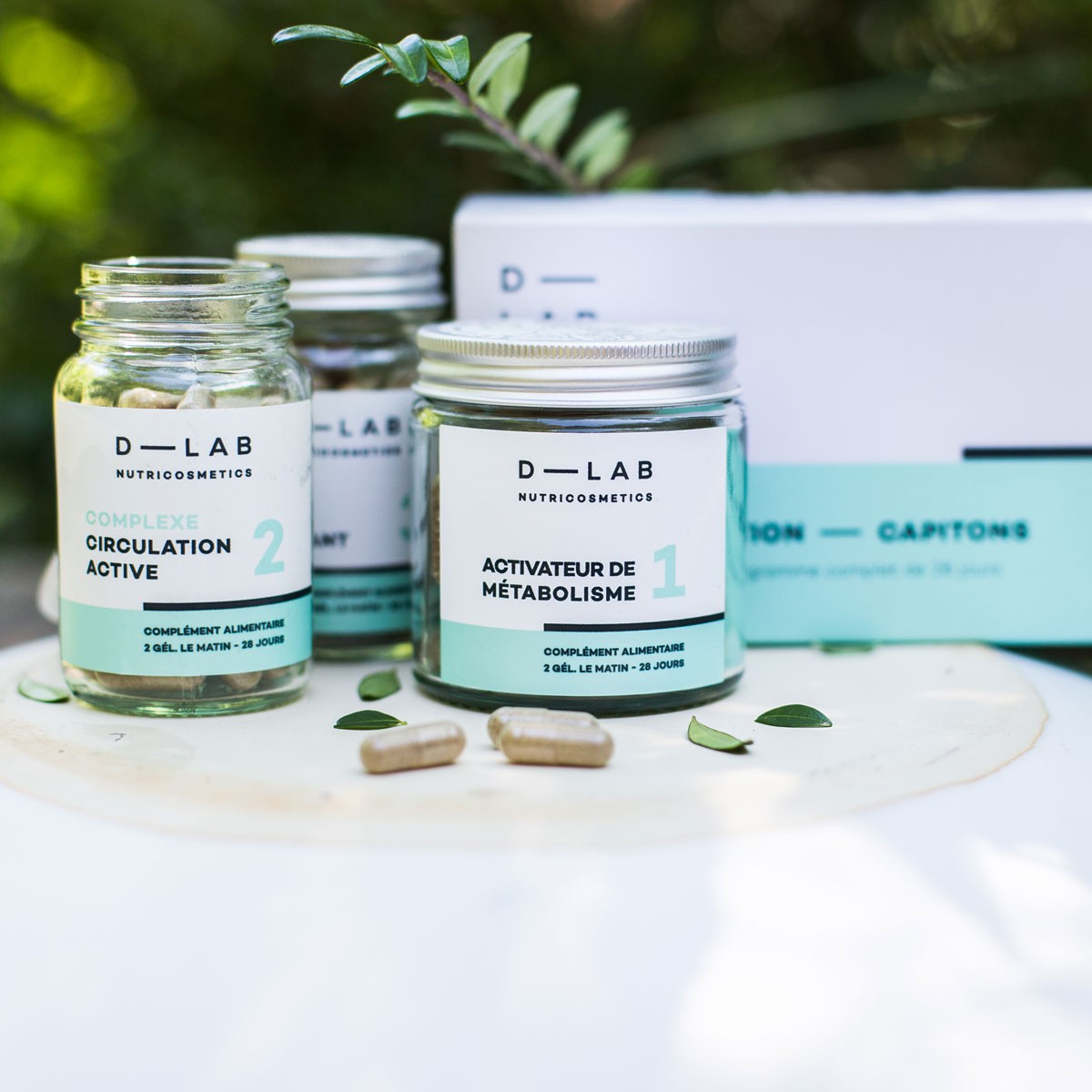 Programme Action-Capitons - D-Lab