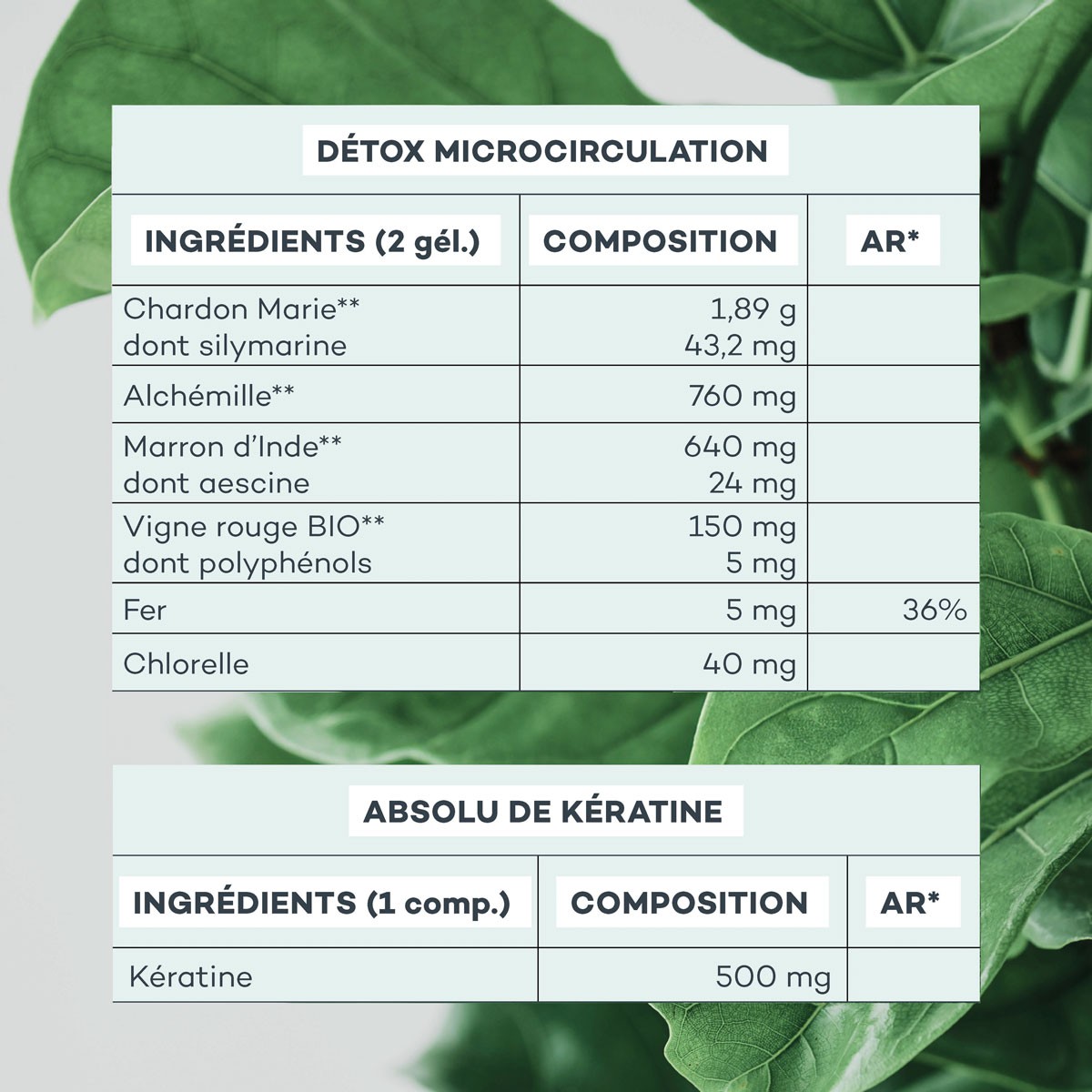 Programme Masse Capillaire • D-Lab - Beauty Tech