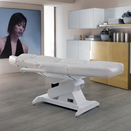 Fauteuil Lemi 4 - Occasion • Lemi - Beauty Tech®