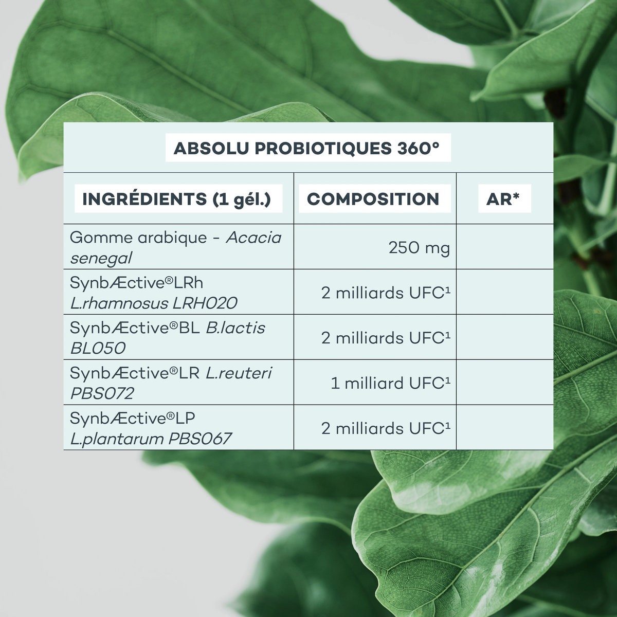 Absolu Probiotiques 360° • D-Lab - Beauty Tech