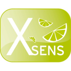 Recharge parfum X-Sens Océan