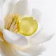 Aromessence - Magnolia Blanc • Decléor X- Beauty Tech®