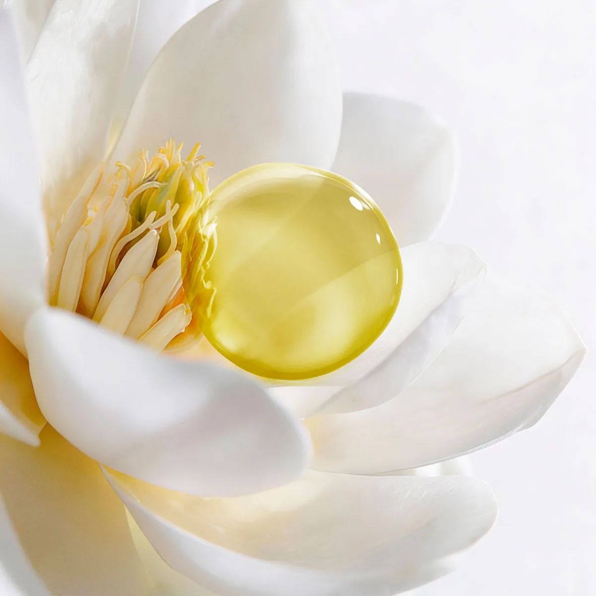 Aromessence - Magnolia Blanc • Decléor X- Beauty Tech®