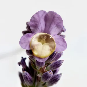 Aromessence - Lavande Fine