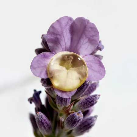 Aromessence Sérum-Huiles Essentielles Lavande Fine • Decléor - Beauty Tech®