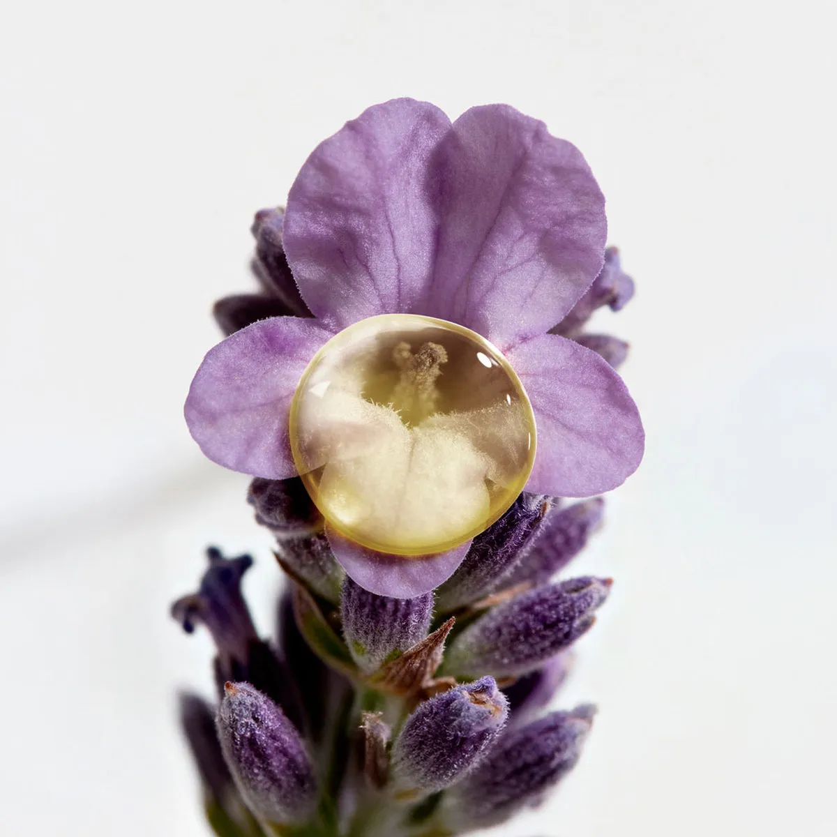 Aromessence Sérum-Huiles Essentielles Lavande Fine • Decléor - Beauty Tech®