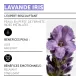 Crème Délicate - Lavande Fine • Decléor - Beauty Tech®