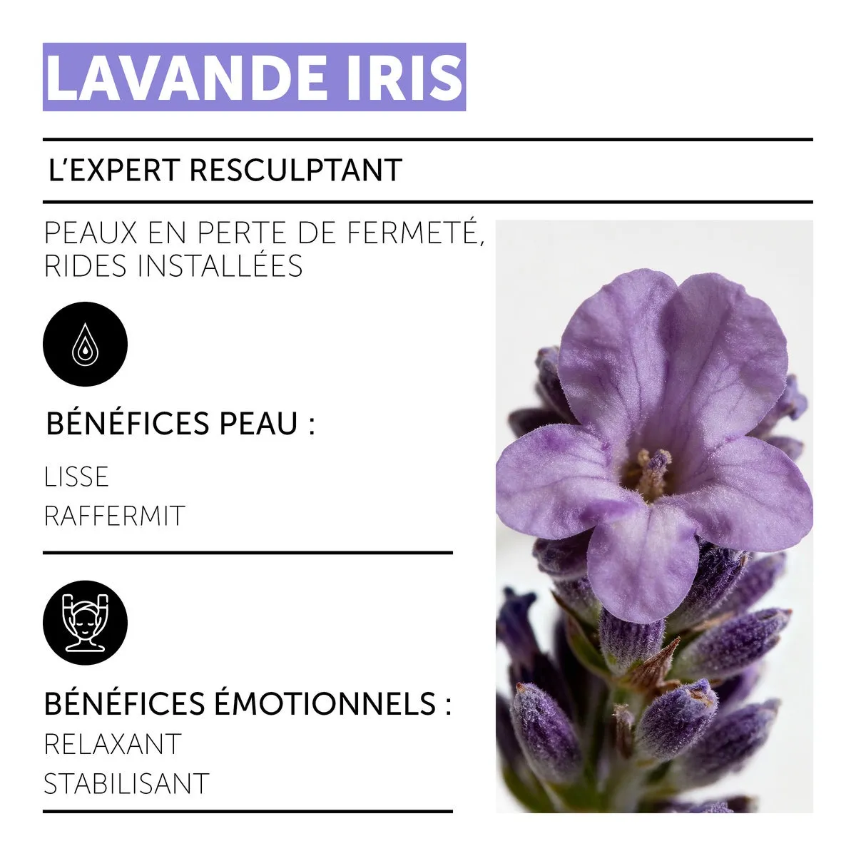 Crème de Nuit Raffermissante - Lavande Iris • Decléor - Beauty Tech®