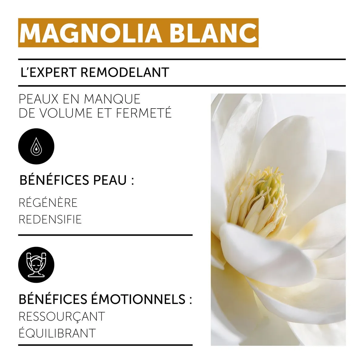 Crème Rosée - Magnolia Blanc • Decléor - Beauty Tech®