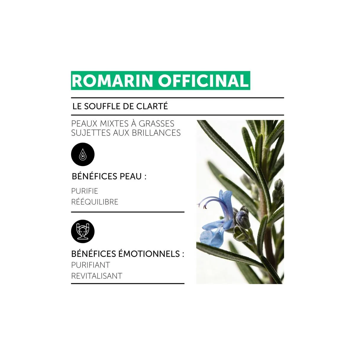Masque Argile Noire - Romarin Officinal • Decléor - Beauty Tech®