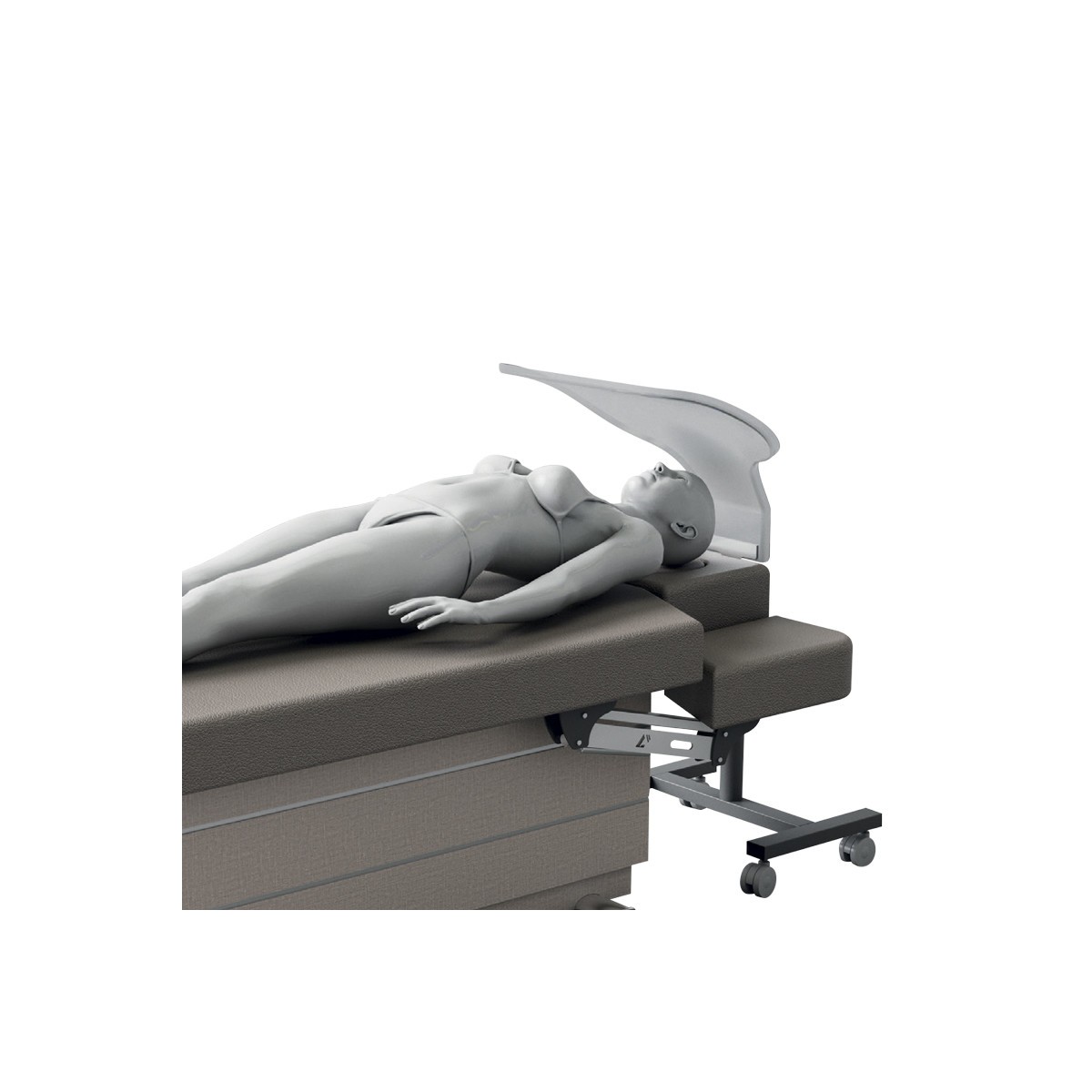 Spa Shield  • Lemi - Beauty Tech®