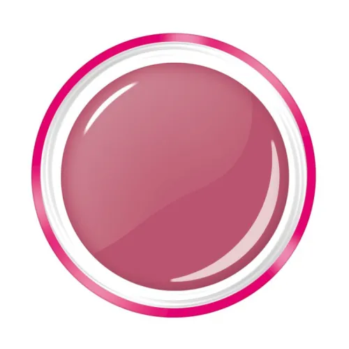 Colour Gel Anniversaire - Let’S Celebrate  • Lcn - Beauty Tech®